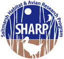 SHARP logo