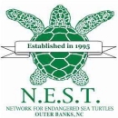 N.E.S.T. Network for Endangered Sea Turtles Outer Banks, NC