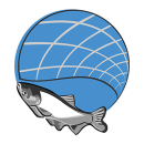 A illustrated fishing net coming down on an invasive carp.