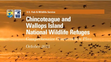 Cover of Chincoteague National Wildlife Refuge's Comprehensive Conservation Plan shows an orange scene with birds in flight overlaid with a grid of six photos