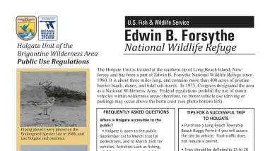 Edwin B. Forsythe National Wildlife Refuge: Holgate Brochure