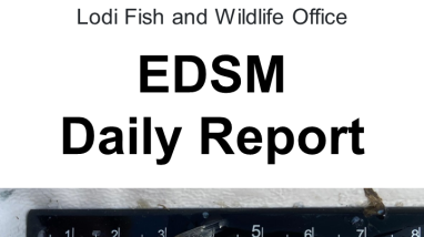 EDSM Daily Report