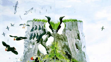 Split image of an island with the left side populated by a variety of birds and wildlife and the right side mostly empty except for a few rats