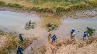 Visitors to tidal marsh on Freshwater Farms Reserve