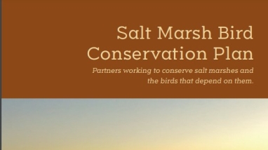 Image depicts report cover, with an image of a dawn salt marsh & the words: "Salt Marsh Bird Conservation Plan: Partners working to conserver marshes and the birds that depend on them. Atlantic Coast Joint Venture"