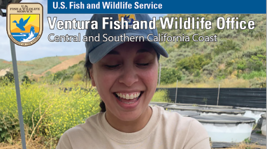 The cover of a newsletter with an image of a woman holding a salamander and smiling. The US Fish and Wildlife Service is in the top left corner, along with the words "Ventura Fish and Wildlife Office Central and Southern California Coast." A blue box in the bottom left corner says "Stories from the Field Summer 2023 Newsletter. We invite you to read and share our stories about the native and rare wildlife of the southern and central California coast"