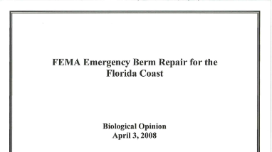 2008 USFWS FLES Biological Opinion regarding FEMA Emergency Berm Repairs for FL Coasts Statewide