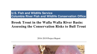 2016-2019 Report_Brook Trout in the Walla Walla River Basin - Assessing the Conservation Risks to Bull Trout