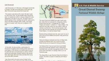 Lake Drummond Wildlife Drive at Great Dismal Swamp National Wildlife Refuge