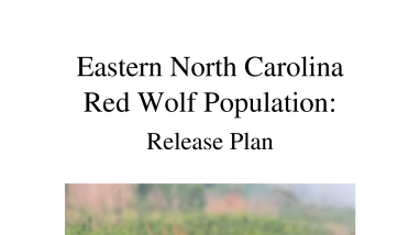 Eastern North Carolina Red Wolf Population 2023-2024 Release Plan