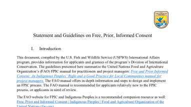 Statement and Guidelines on Free, Prior, Informed Consent