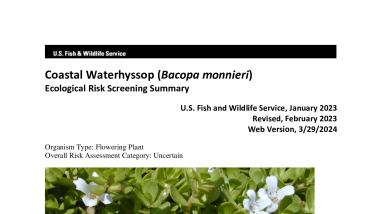 Ecological Risk Screening Summary - Coastal Waterhyssop (Bacopa monnieri) - Uncertain Risk