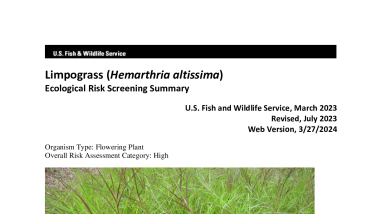 Ecological Risk Screening Summary - Limpograss (Hemarthria altissima) - High Risk