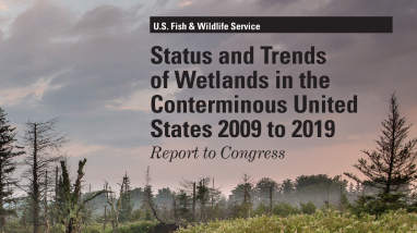 Status and Trends of Wetlands in the Conterminous United States 2009 to 2019