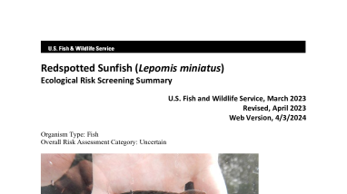 Ecological Risk Screening Summary - Redspotted Sunfish (Lepomis miniatus) - Uncertain Risk