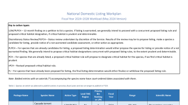 National Listing Workplan