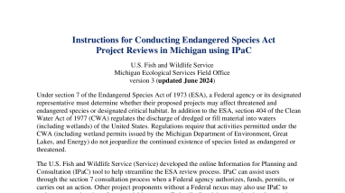 MIFO IPAC Instructions