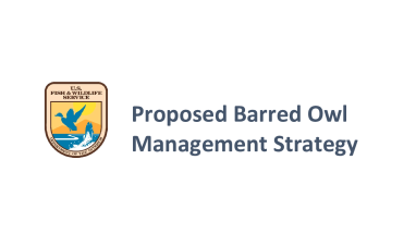 Proposed Barred Owl Management Strategy