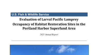 Evaluation of Larval Pacific Lamprey Occupancy of Habitat Restoration Sites in the Portland Harbor Superfund Area 2023 Annual Report