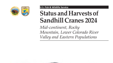 Status and Harvests of Sandhill Cranes, 2024