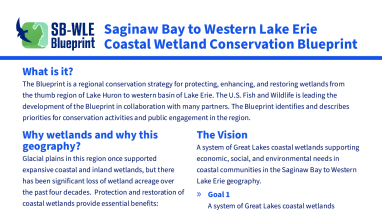 Saginaw Bay to Western Lake Erie Coastal Wetland Conservation Blueprint Fact Sheet