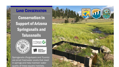 Conservation Support of AZ Springsnails & Talussnails Handout