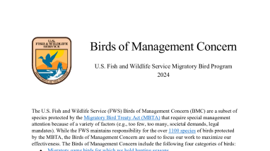 Birds of Management Concern