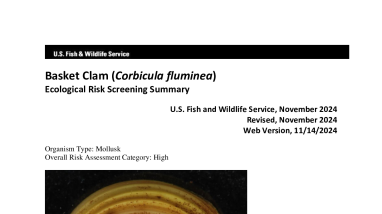 Ecological Risk Screening Summary - Basket Clam (Corbicula fluminea) - High Risk