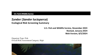Ecological Risk Screening Summary - Zander (Sander lucioperca) - High Risk