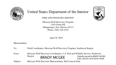 Mexican Wolf Removal Action - Hail Canyon Pack AM2764