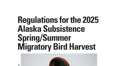 Regulations for the 2025 Alaska Subsistence Spring/Summer Migratory Bird Harvest