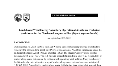 Final NLEB Wind Avoidance Technical Assistance