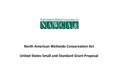 North American Wetlands Conservation Act United States Small and Standard Grant Proposal Eligibility Criteria & Processes