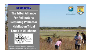 The Tribal Alliance For Pollinators: Restoring Pollinator Habitat on Tribal Lands in Oklahoma Case Study Handout