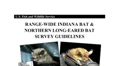 Range-wide Indiana Bat and Northern Long-eared Bat Survey Guidelines