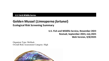 Ecological Risk Screening Summary - Golden Mussel (Limnoperna fortunei) - High Risk