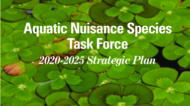 Aquatic Nuisance Species Task Force Strategic Plan 2020-2025