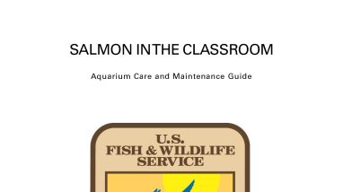 Aquarium Care and Maintenance Guide for Salmon in the Classroom - English Version