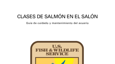 Aquarium Care and Maintenance Guide for Salmon in the Classroom - Spanish Version