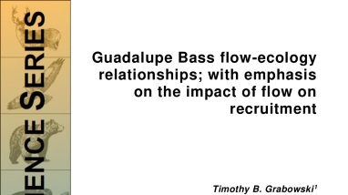Guadalupe Bass flow-ecology relationships; with emphasis on the impact of flow on recruitment