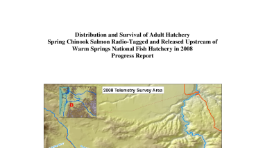 Distribution and Survival of Adult Hatchery Spring Chinook Salmon Radio-Tagged and Released Upstream of Warm Springs National Fish Hatchery in 2008 Progress Report