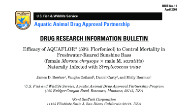Drug Research Information Bulletin - Efficacy of AQUAFLOR® (50% Florfenicol) to Control Mortality in Freshwater-Reared Sunshine Bass