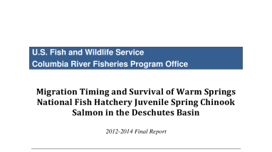 Migration Timing and Survival of Warm Springs National Fish Hatchery Juvenile Spring Chinook Salmon in the Deschutes Basin 2012-2014 Final Report