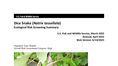 Ecological Risk Screening Summary - Dice Snake (Natrix tessellata) - High Risk