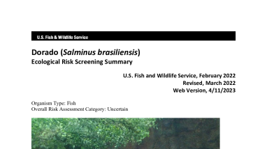 Ecological Risk Screening Summary - Dorado (Salminus brasiliensis) - Uncertain Risk