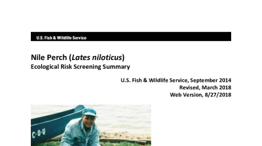 Ecological Risk Screening Summary - Nile Perch (Lates niloticus) - High Risk