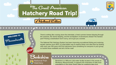 The Great American Hatchery Road Trip - Berkshire Infographic