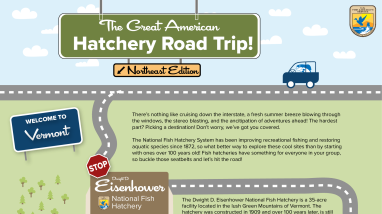 The Great American Hatchery Road Trip - Dwight D. Eisenhower Infographic