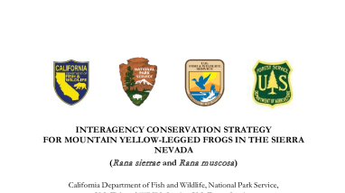 Mountain Yellow-legged Frog Conservation Strategy