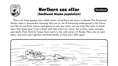 Northern Sea Otter Coloring Page